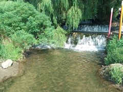 -长白岛森林公园