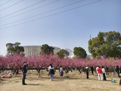 -长广溪湿地公园