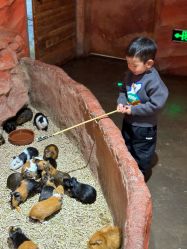 -Zoolung Zoolung动物主题公园(海信广场店)