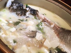 姜君千岛湖鱼头-姜君·千岛湖鱼头馆(浦东大道店)