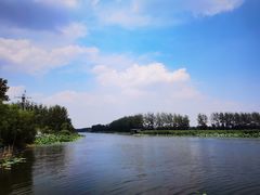 -滕州微山湖红荷湿地景区
