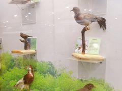 -下渚湖国家湿地公园科普馆