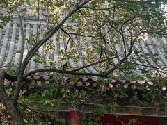 -窦大夫祠