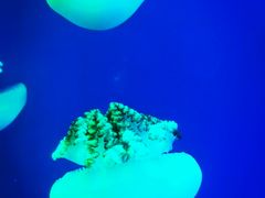 -福州罗源湾海洋世界旅游区