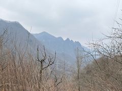 -嘉陵江源头景区