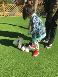 -萌宠亲子动物乐园(槐房万达店)