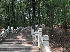 -灵岩山风景区