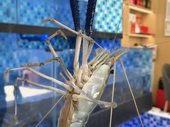 -七的湖·晚芳亭·阳澄湖农家菜·大闸蟹(莲花岛店)