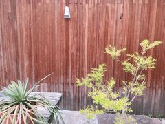 -梵几(东信·和创园店)