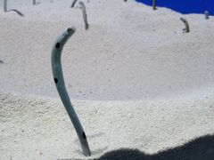 -上海海洋水族馆