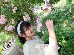 -鹅湖玫瑰文化园