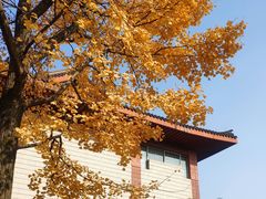 -浙江省博物馆(孤山馆区)