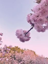 点击看大图 -自然美Natural Beauty