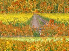 -中国天府农业博览园