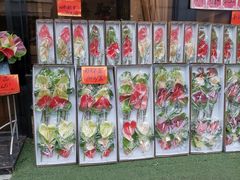 -海翔花行(岭南花卉市场店)