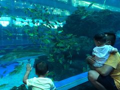 -成都浩海立方海洋公园