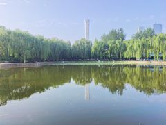 -团结湖公园
