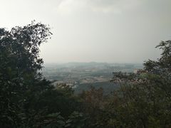 -紫金山山顶公园