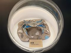 -陕西自然博物馆