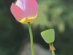 -中影国际影城(兰生大厦CINITY LED店)