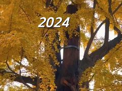 -清华大学玉泉医院