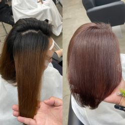 -蚂蚁造型俱乐部