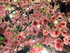 -京都小酒馆(悦城店)