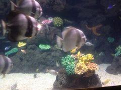 iphone_upload_pic-郑州海洋馆