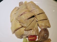 -新兴·金羊座·粤菜点心(乐峰店)