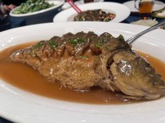 -金狮麟·新豫菜(金码大厦店)