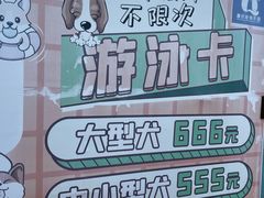 -趣玩宠物乐园寄养训犬训狗游泳池