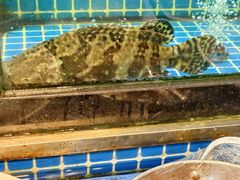 -碧海银沙海鲜餐厅(恒大海上威尼斯店)