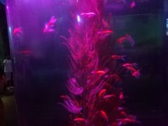 -Tasty Love唐乐(太白店)