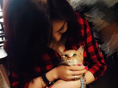 -赢吧Bliss音乐酒吧