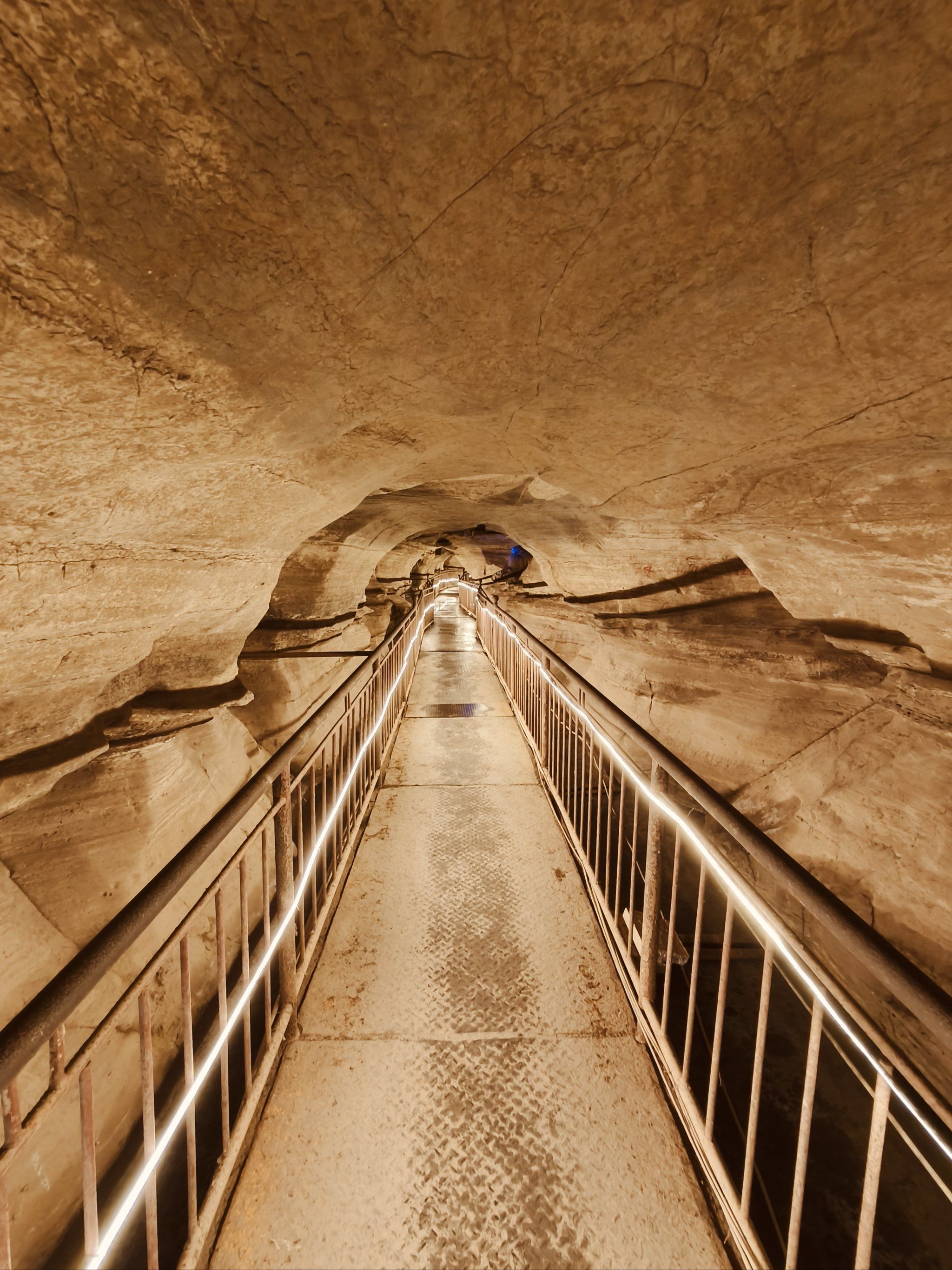 探索隧道里的奇妙世界