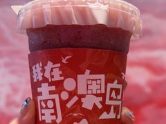 -南澳岛打卡果汁冰公司