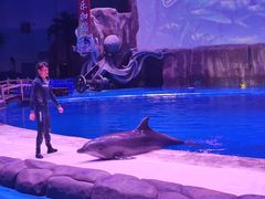 -华夏文旅海洋公园