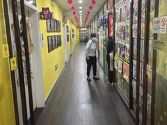 -杨梅红艺术教育(凤城教学中心)