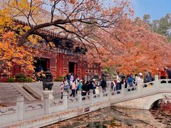 -香山公园