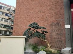 -俏江南天津时尚曲艺主题餐厅(马场道店)