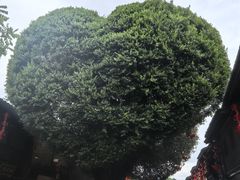 -福州长乐国际机场
