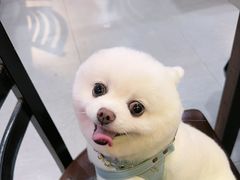 -燚青春东北泥炉烤肉(百合店)