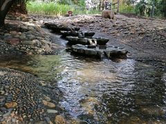 -成都市活水公园