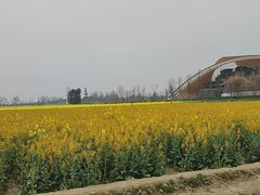 -中国天府农业博览园