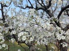 -北京世界花卉大观园