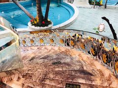 -大东方海鲜酒楼(小武基桥店)