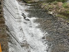-千泷沟大瀑布旅游区