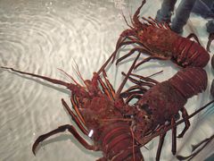 -万龙洲海鲜(大兴绿地缤纷城店)