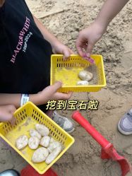 -PIPIKINGDOM皮皮王国欢乐号(欢乐海岸购物中心店)