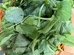 豌豆尖-抚仙湖生态石锅鱼野生菌(告庄店)
